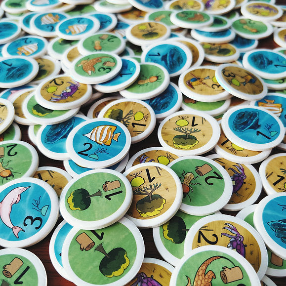 Rainforest City Card Game