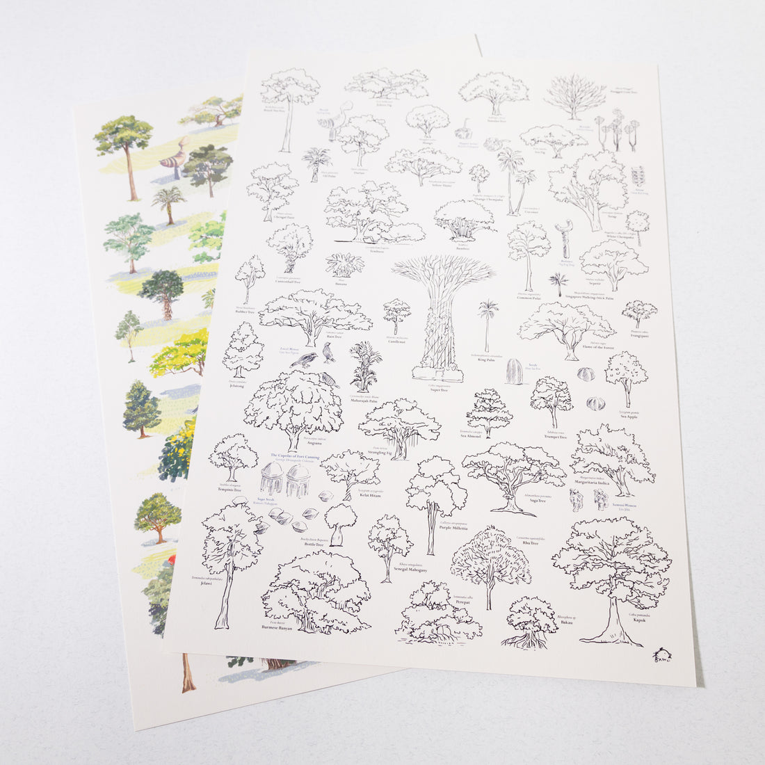 Trees of Singapore Print